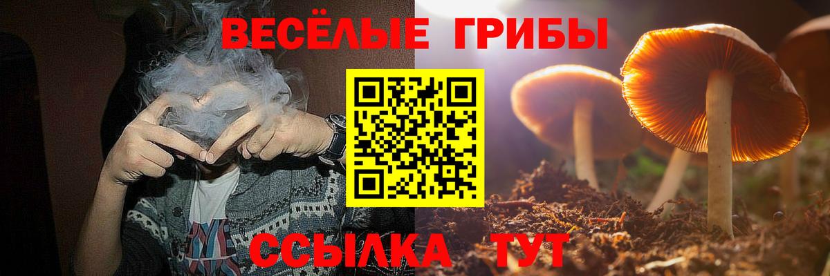 Псилоцибиновые грибы мухоморы Биробиджан